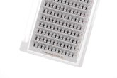 10D Lash Tray